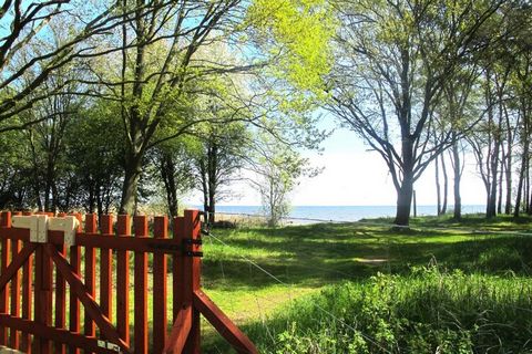 Gemütliches, modern eingerichtetes Ferienhaus über zwei Etagen auf schönem Naturgrundstück. Die Gegend rund um das Stettiner Haff ist ideal für Naturliebhaber und Ruhesuchende. Eingebettet in Wälder, Wiesen und Wasserlandschaften, bietet die Region i...