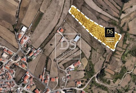 Rustikales und flaches Grundstück mit einer Fläche von 12.680 m2 in Aldeia Saloia namens Cabrela -Sintra, neben der Gemeindestraße, genießt eine gute Anbindung und eine gute privilegierte Lage an einem ruhigen Ort, aber an einem ruhigen Ende des Dorf...