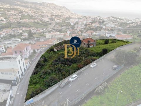 This flat land with 4,380 square meters and nearly 100 meters of road frontage is located close to the Church of Santo António, surrounded by supermarkets, warehouses, large retail stores, a pharmacy, and a health center. The land has two houses in r...