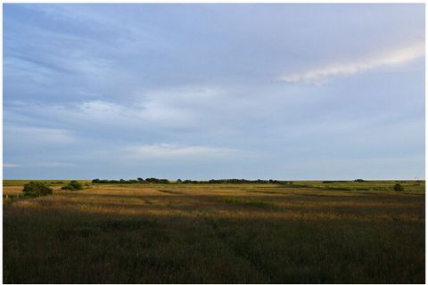 Partie élégante de la maison sous le toit de chaume avec un jardin idyllique au milieu des prairies de Morsum.