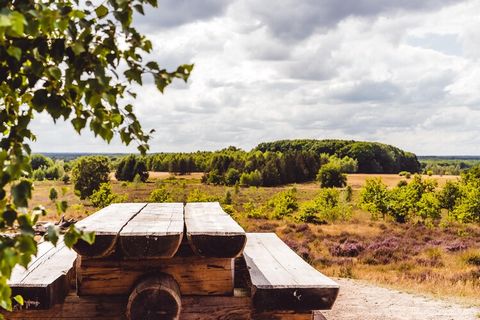 De comfortabele, vrijstaande chalets en bungalows liggen op ruime afstand van elkaar in het bos. Ze zijn gezellig ingericht en bieden volop privacy. Alle accommodaties beschikken over een niet omheinde tuin met terras en tuinmeubilair.