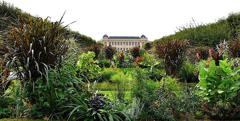 In the heart of one of the capital's oldest streets, built in 1540, a 3-minute walk from the magnificent Jardin des Plantes and a 5-minute walk from the Natural History Museum, Hamilton in Paris offers this charming 3-room apartment on a paved courty...