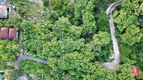 This 250 sqm land for sale in Lembongan Island offers a rare opportunity to own a slice of paradise in one of Bali’s most coveted locations. The plot is ideally situated to enjoy the island’s natural beauty, surrounded by lush tropical greenery and j...