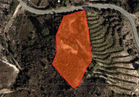 For sale: 7,024 sqm of land in picturesque Kato Platres, Cyprus. This expansive plot offers a building factor of 6% and a coverage ratio of 6%, with a building allowance of 422 sqm and a comfortable building height of 8.3 meters. Priced at €395,000, ...