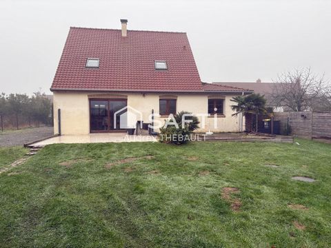 photo no. 7