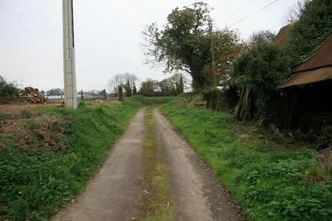 photo no. 4