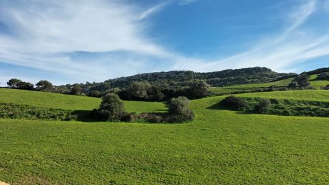 Es Mercadal is one of the most beautiful towns on the island of Menorca and you must take a walk through its pedestrian center in a privileged environment, we find this Great Triplex in the Es Mercadal Pueblo area, it has 140 m2. of surface (approxim...