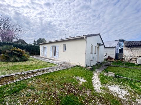 photo no. 2