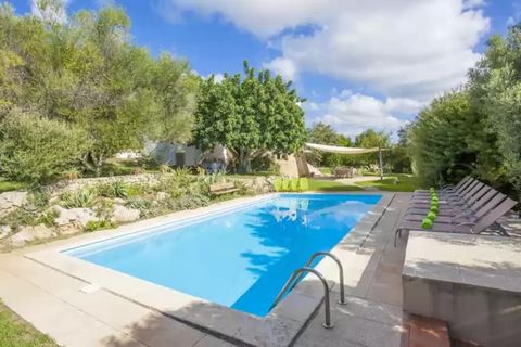 The chlorine pool is perfectly integrated into the beautiful natural landscape, surrounded by trees. With a size of 11m x 5m and a depth of between 0.8m x 2.5m, it is an ideal place to swim in the morning. After playing sports, you may want to lie do...