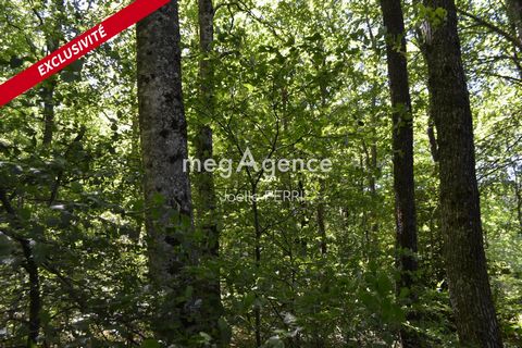 TERRAIN NON CONSTRUCTIBLE DE 8130 M2 SUR LACOMBE