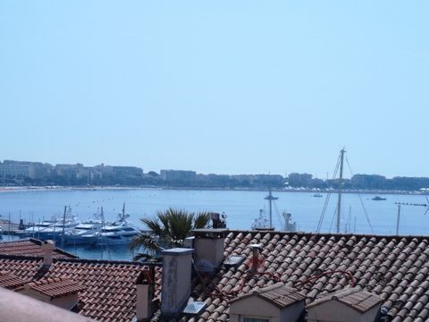 SOLE AGENT: Historical center of Cannes, lower part of le Suquet, in a very nice renovated bourgeois style building, lovely one bedroom apartment with bedroom in mezzanine in perfect condition. 5 minutes walk from the beach and the Palace of Festival...