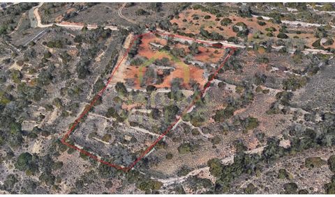 Rustic land located in an area where tranquility prevails in the parish of Paderne, municipality of Albufeira in the Algarve. This rustic property has a total land area of approximately 6,960 m2. The land is made up of arable crops, trees characteris...
