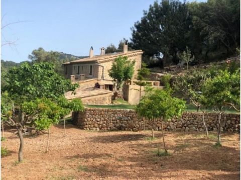 Welcome to this beautiful rustic house surrounded by mountains in Andratx. It has capacity for 4 guests. If you wish to relax and connect with nature, this is the perfect house for you. Outside you can enjoy the tranquillity of the surroundings on th...