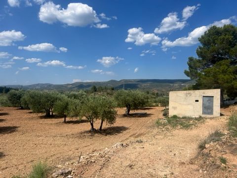 Little country home with an olive grove in Zarra between AyoraZarra The casita is a single storey casita to be reformed the roof is a tin one The surroundings is an olive grove with privacy there are no neighbors around but stil the distance to town ...