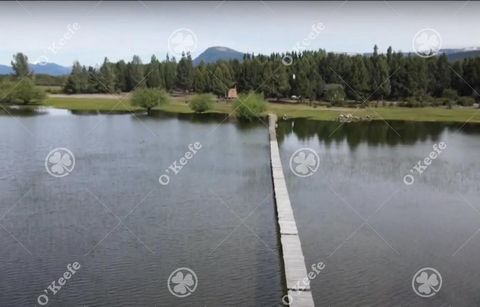 IDEAL TOURIST ENTERPRISE - EXPANDING AREA - FACING LAKE ALUMINE - FORESTED WITH 3 VARIETIES OF PINE Location: The field is located 11 km from the center of Villa Pehuenia, accessed by paved road up to 1 km before the field and then by gravel road. Di...