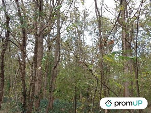 Welcome to you, future nature lovers and lovers of the preserved environment! We are delighted to present you with a unique opportunity: a forest of 5570 m2 in CHÂTILLON-SUR-CHER, a green setting inviting you to relax and discover. This non-buildable...