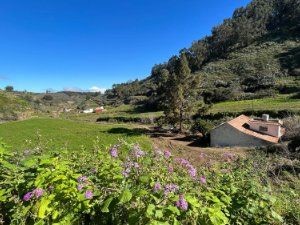 BEEINDRUCKENDE FINCAS an einem der besten Orte Gran Canarias in der Lorbeerschlucht in Los Tilos de Moya. WO WIR ein Haus finden, in dem unsere Geschichte geatmet wird, denn es war das Landhaus unseres geliebten und bewunderten Dichters DON TOMAS MOR...