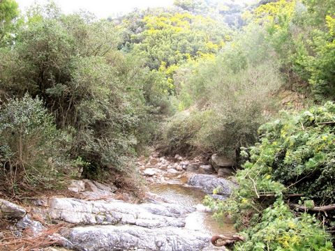 Your agency offers for sale this farm of about 6 ha (divisible) located on the heights of Pégomas and 10 minutes from the city center. Existing eucalyptus and mimosa plantations. Estate crossed by a river and with a borehole.