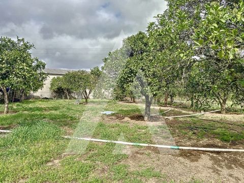 Rustic land with 3742 m2 in Azóia, Leiria. It has the possibility of building single-storey dwellings or dwellings with up to three floors, with a maximum construction rate of 50%. Land with fruit trees, a well, and with two fronts, for two of the ma...