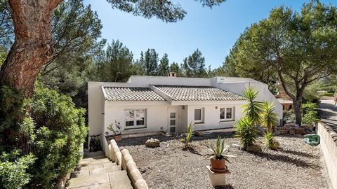 Top renovated villa in a quiet residential area in the south-west of the sunny island. The villa has a plot of approx. 914 m2, a constructed area of approx. 138 m2 and a covered terrace of approx. 60 m2. This dreamlike Mallorca property was renovated...