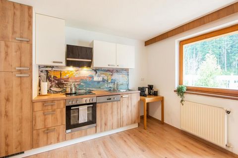 This holiday flat is ideal for a large group. Formerly run as a hotel, the house has many amenities, such as a shared sauna, an indoor pool and a large garden. In winter, you can store your skis and ski boots in the shared ski room. The flat has a we...