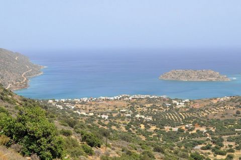 Located in Agios Nikolaos. This fairly large building plot of 8986 m2 (cleared from forestry) is nicely positioned on the slope of the hills above the coastal elite tourist resort of Plaka, Elouda, Crete, facing the sea. It has the planning permissio...