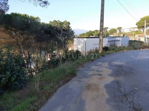 Are you looking to buy land in Vidreres? Excellent opportunity to acquire this property with an area of 641 m². It has good accesses and is well connected, close to the N-II and the C-35. Would you like to receive more information? Don't hesitate to ...