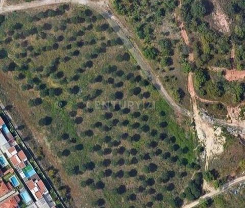 Land for construction, located in Vale do Cobro, São Sebastião in Setúbal. It is planned in the allotment a building with 9 floors, 80 fractions, 48 - T2 and 32 - T3. Implantation area 940m² Gross construction area: 7755m² Contact me for more informa...