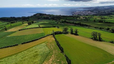 Terrain agricole, avec d'excellentes capacités de production, avec beaucoup d'exposition au soleil au sud, avec une pente douce et avec des conditions parfaites pour être mécanisé. Il est divisé en 2 parcelles communicantes, vendues ensemble. Le terr...