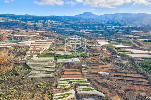 A large banana plantation of over 81,000 m2 with more than 50.000 m2 planted up with mature banana trees. 90% of the bananas are within a greenhouse area and there are new wind screens on the remainder of the open-air areas. The annual historical cro...