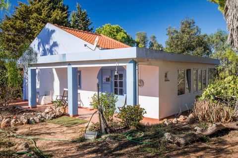 Detached villa, atypical style, with land with 7 800m2, located in Monte Alto, Odiáxere. Odiáxere is a traditional Algarve village with several services, such as pharmacy, bank, grocery stores, health centre, among others, which is 4km from Lagos and...