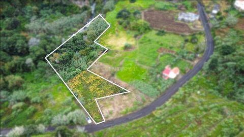 This could be the opportunity to acquire land in one of the oldest parishes on Madeira Island, in São Jorge, in the municipality of Santana, and build your little corner of relaxation there! 5 minutes from São Jorge beach, in a quiet area, submerged ...
