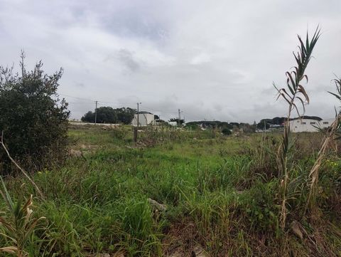 Builders and investors, get ready to take advantage of an unmissable opportunity! This strategically located land, with a generous area of 4500m², offers construction feasibility that can transform your projects into reality. Situated within walking ...