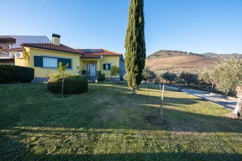 Welcome to an Exclusive Opportunity to Own a Charming and Versatile Property located in the picturesque region of Lodões, in Vila Flor, the Capital of Olive Oil, in the heart of Terra Quente Transmontana, in the Southern part of the District of Braga...