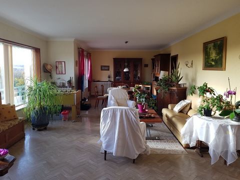 photo no. 2