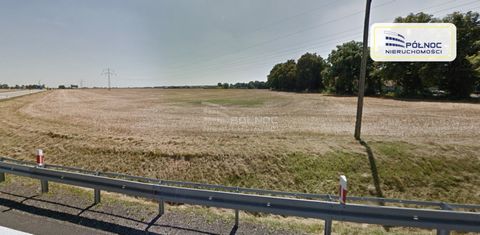 Północ Nieruchomości O/Bolesławiec oferuje do sprzedaży atrakcyjną działkę o powierzchni 2,7127 ha położoną w miejscowości Legnickie Pole pow. legnicki, bezpośrednio przy zjeździe z autostrady A4. SZCZEGÓŁY OFERTY: - Powierzchnia działki 2,7127 ha. -...