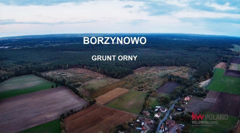 Welcome to Keller Williams! Arable land for sale with a total compact area of 16.02 ha, located in the village of Borzynowo in the district of Milicz. Soil class: RIV and RV. Access to the property: Direct access via asphalt and dirt roads. The offer...
