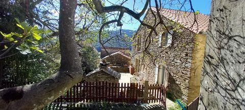 Colombieres sur orb 34390, Nestled in the heart of the old village, and the Haut Languedoc natural park, this stone residence, completely renovated with taste and quality, offers tranquility and good living. A large terrace with easy access to the in...