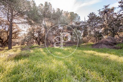 IDEAL PLOT TO BUILD A HOUSE Spectacular plot for sale in the exclusive Monte de las Encinas Urbanization (Boadilla del Monte), ideal for building the house of your dreams. The plot, with an area of 4.242 m², is in a privileged location, in an enviabl...