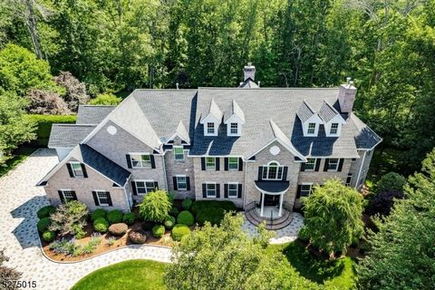 Tucked away in a serene cul-de-sac, this exquisite custom brick colonial is a must see that sits on nearly 6 acres of lush greenery, adorned with mature trees and vibrant plantings. This beautiful home includes six bedrooms - five bedrooms plus a med...