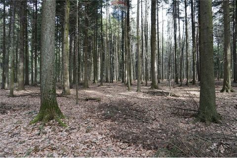 KRYSTIAN STAŃCZYK Lead Agent Tel: +48   Location Woj. Małopolskie, Suski District, Budzów A 30-50 year old forest for sale. Mainly pine, fir and larch, with an area of 1.2930 ha. Some of the plots can be accessed via forest roads no. 6361/39 and 6955...