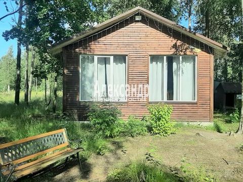 1697517 Продается жилой дом 36 кв. м. на участке 20 соток в массиве жилой застройки в поселке Моторное. Участок для индивидуального жилищного строительства разработан. Оставлены сосны, елочки и березки. Электричество 15 квт, колодец, подъезд по грунт...