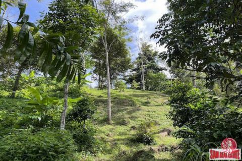 A land plot of 2 Rai, 3 Ngan (2-3-33.6) of progressively sloping terrain for sale on a chanote title deed. The plot width and length are approximately 42 meters and 130 meters.The plot is gradually sloping 80% and flat about 20% with the gradually sl...