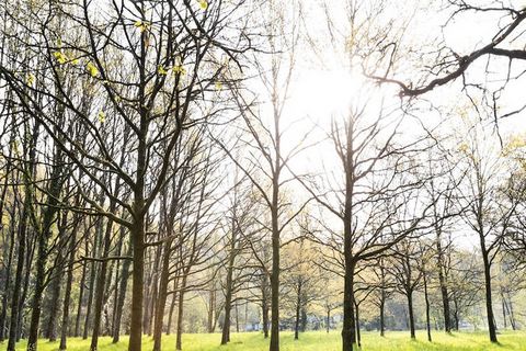 Från Mortagne-sur-Sèvre, följ riktningen mot Saint Laurent sur Sèvre. I sikte av vattentornet, det finns en stor nedstigning, anländer till botten, ta stigen till höger mot Le Domaine. Följ denna stig tills du når en parkeringsplats innan återvändsgr...