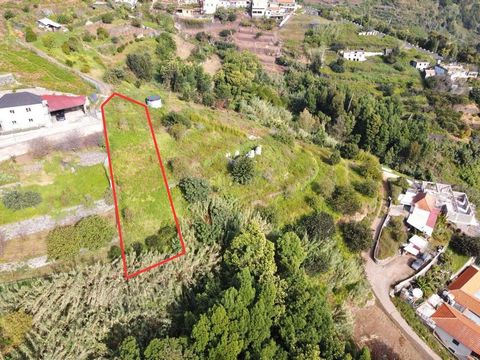 Do you value tranquility and connection to nature? Incredible land located in Santa Cruz. With a generous area of 470m2, it offers the perfect space to build your dream home or invest in a promising project. The privileged location provides stunning ...