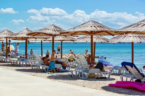 Geselecteerde appartementen voor maximaal acht personen in verschillende privéhuizen in de buurt van het strand op het eiland Vir. De appartementen zijn meestal functioneel maar modern, hebben allemaal een terras of balkon en liggen tussen de 50 en 3...