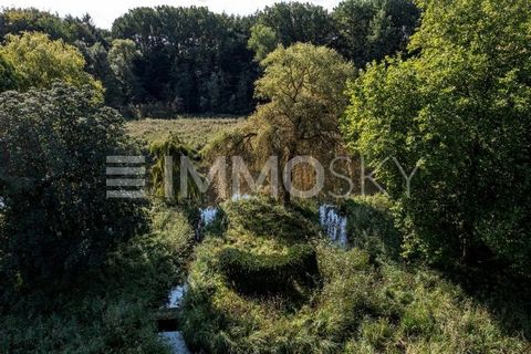 Bauland XXL direkt an der Trave gelegen - Wasserzugang mit Anlegestelle. Idyllisch eingebettet zwischen alten Bäumen und direkt am Wasser liegt dieses wunderbar naturnah und ruhig gelegene Bauland. Die Gesamtfläche beträgt etwa 8.700 QM. Etwa die Häl...