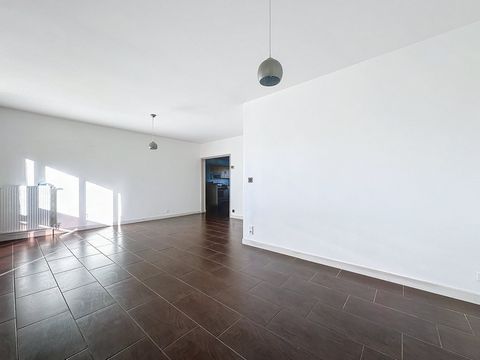 photo no. 6