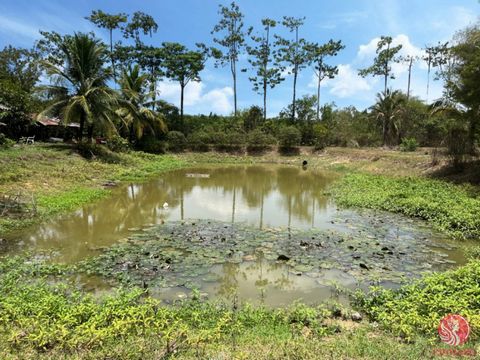 5 rai land for sale with a house in Thaimuang, Phang Nga. This serene property, surrounded by nature, offers stunning mountain views and backs onto a canal. It features three old lotus ponds in good condition, ready for restoration. Enhance these pon...