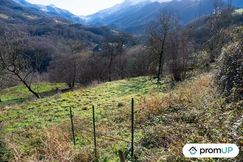 Ontdek in een idyllische omgeving van de Pyreneeën van de Ariège deze schuur met 20.000 m² grond in Uchentein, verdeeld over twee verschillende percelen. Deze oase van rust biedt een bebouwbare oppervlakte van 372 m², perfect voor een gepersonaliseer...